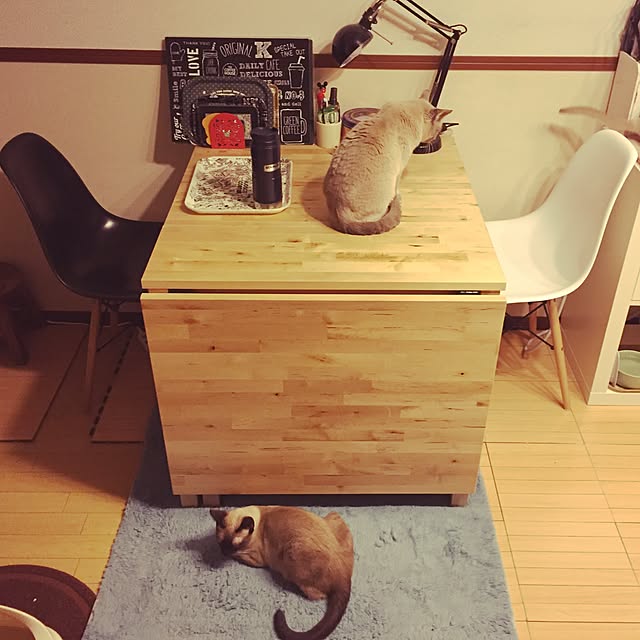 monkeymajimajikさんの実例写真