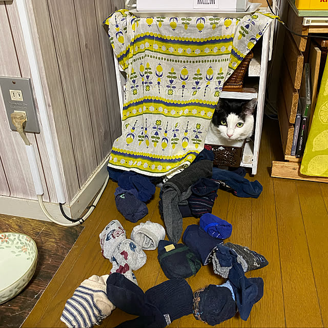 SHIHOさんの実例写真