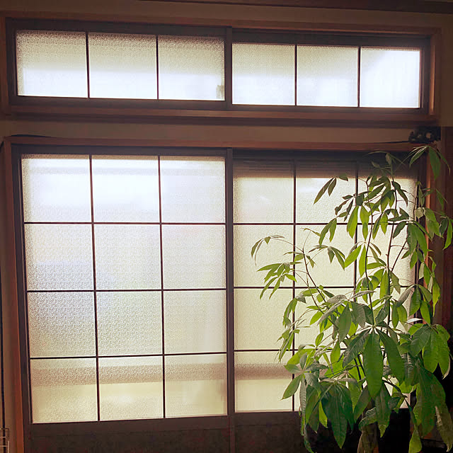 kyoanさんの実例写真