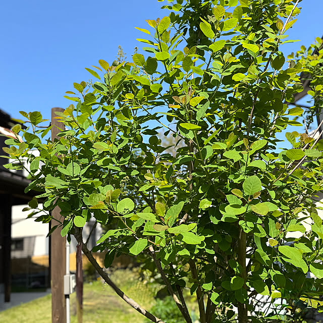 tsukiyuzuさんの実例写真