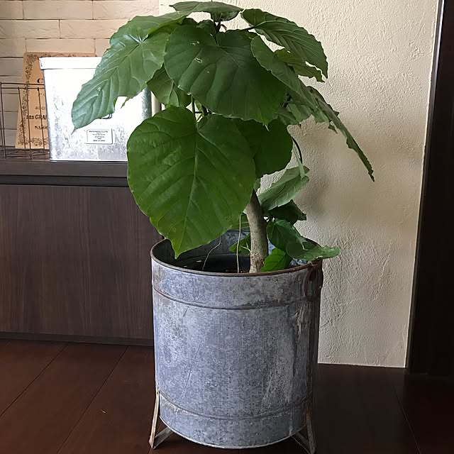 harunatsuさんの実例写真