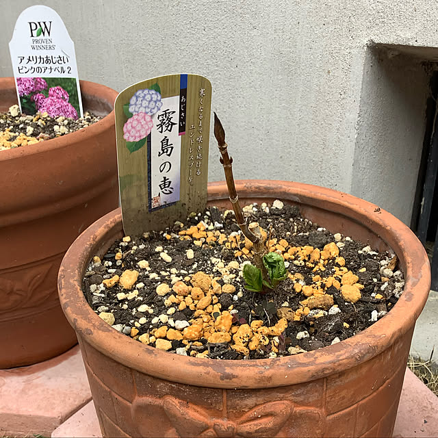 haruminさんの実例写真