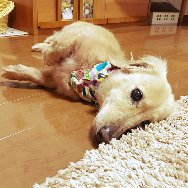 spicaさんの実例写真