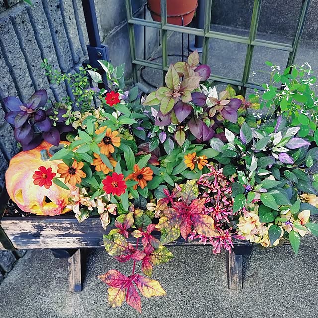 taeko0779さんの部屋