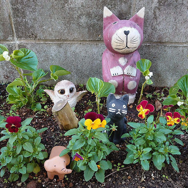 fukuさんの実例写真
