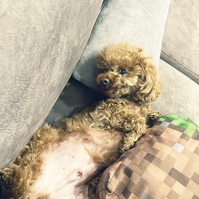 maroさんの実例写真