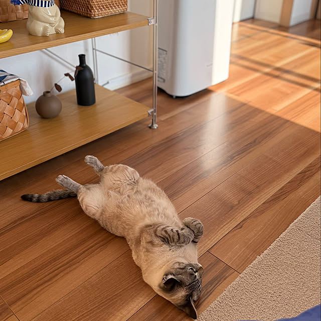実例写真