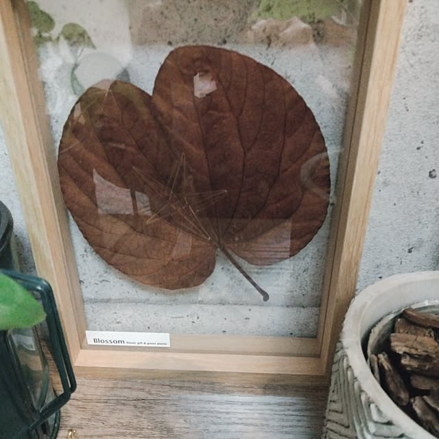 okameさんの部屋