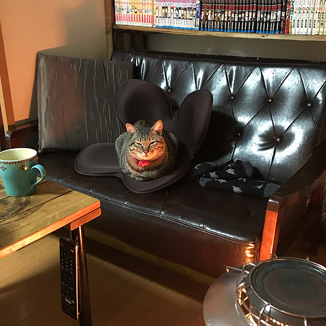 mikan161さんの実例写真