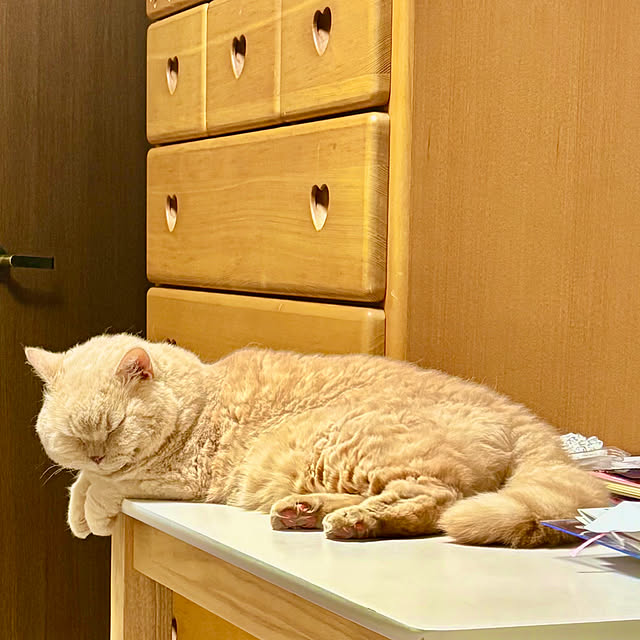 naokoさんの実例写真