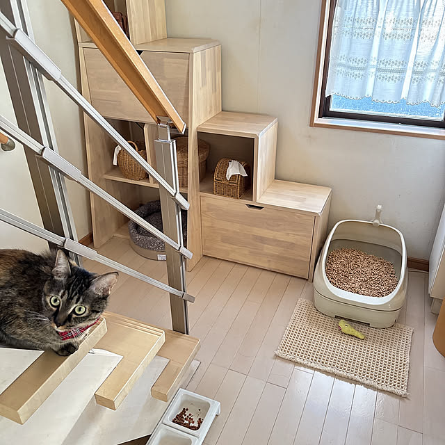 壁/天井/植物/グリーン/インテリア/猫トイレ...などのインテリア実例 - 2024-12-06 14:35:57
