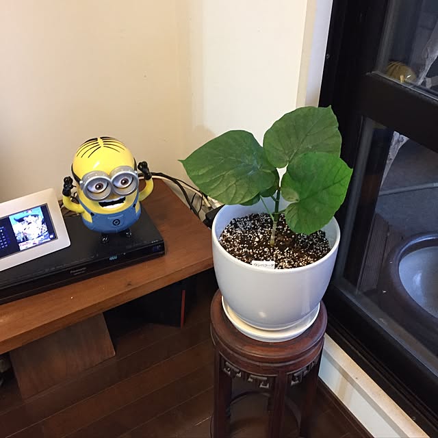 Naochanhoikuenさんの実例写真