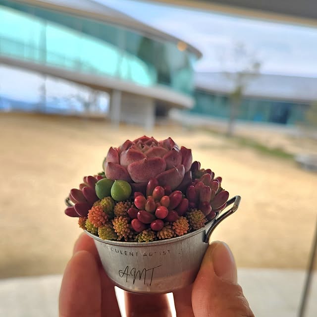 amtさんの実例写真