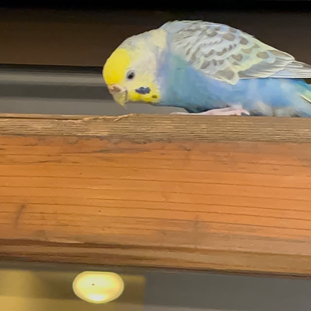 Atsukoさんの部屋