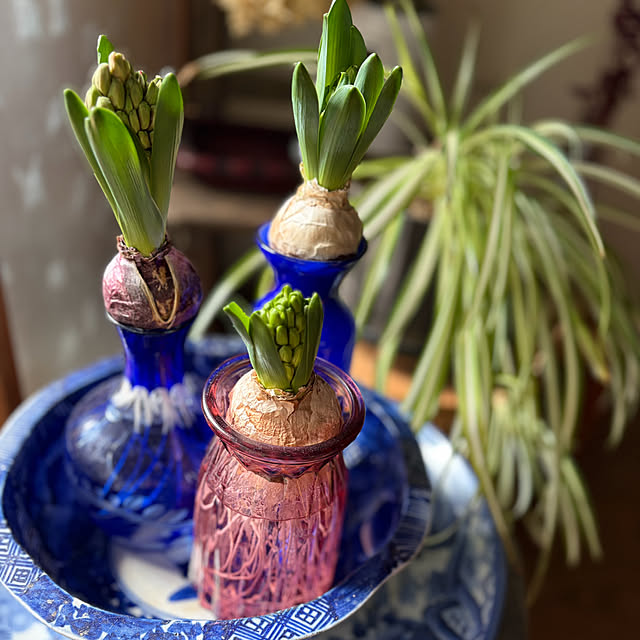 buchiさんの部屋