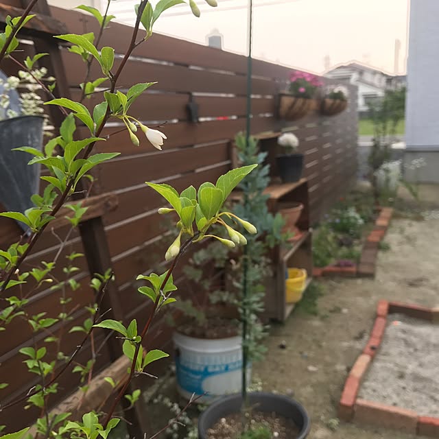 hataakariさんの実例写真