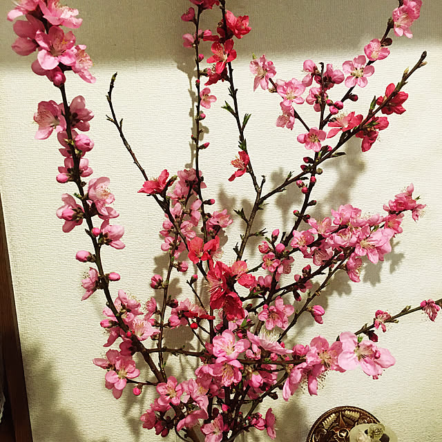 akane_g2002さんの実例写真