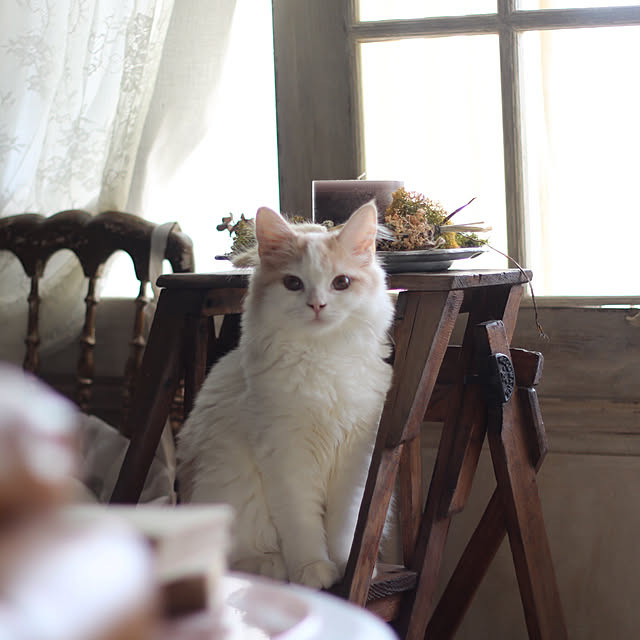 mannersさんの実例写真