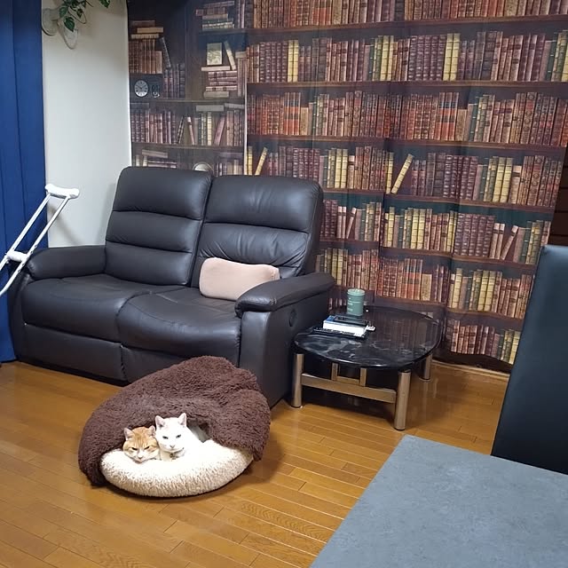 NOAHさんの実例写真