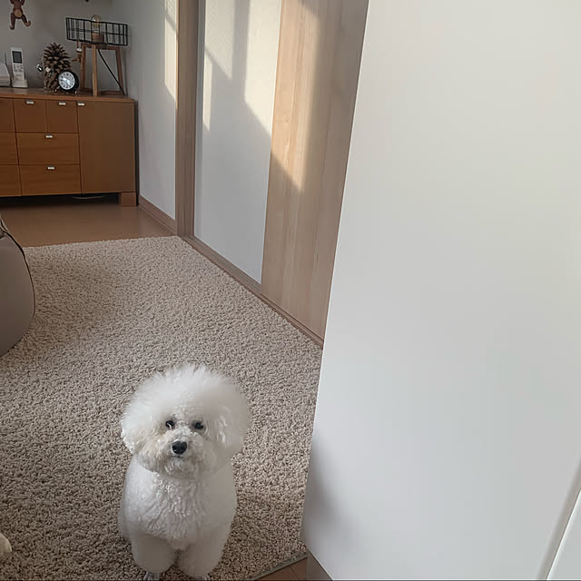 BUNさんの実例写真