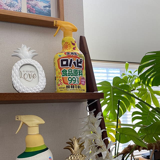 ulalauさんの実例写真