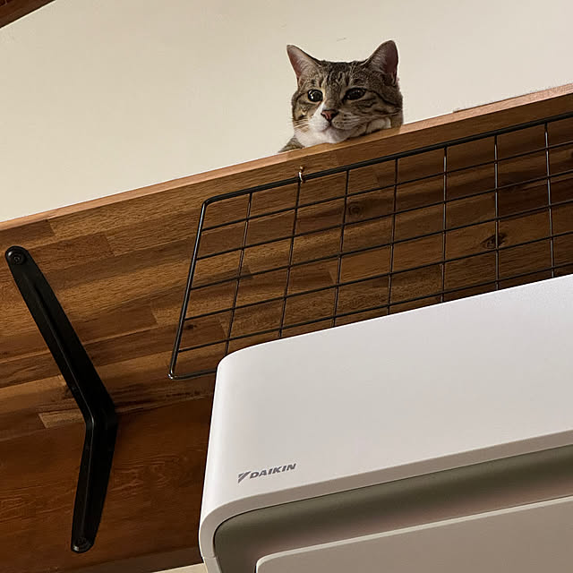 noraさんの部屋