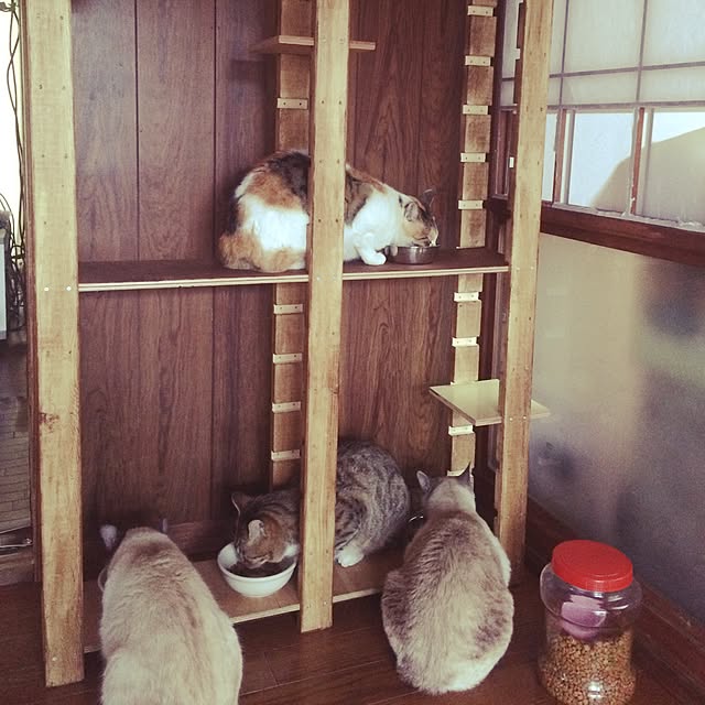 muwaさんの実例写真