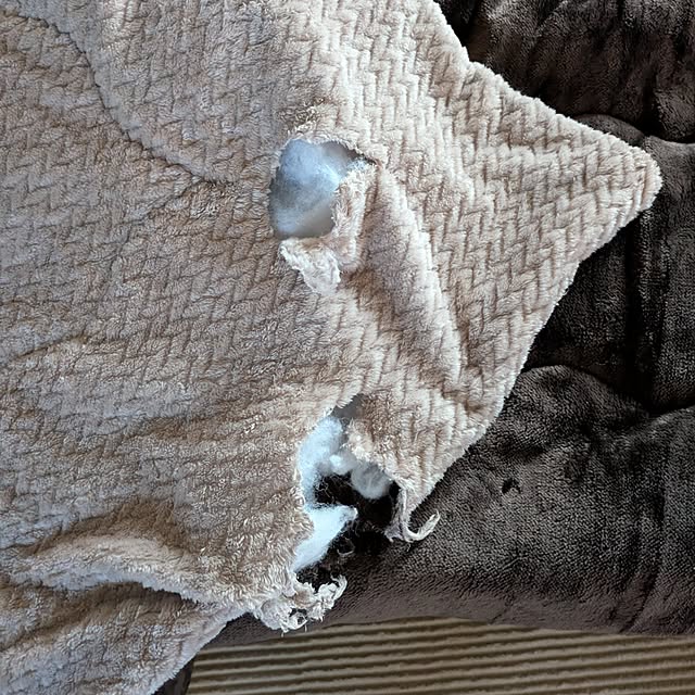 tikuwaさんの部屋