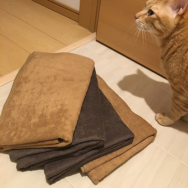 kinokoさんの実例写真