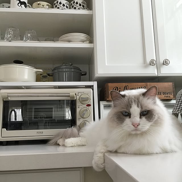 yuchiさんの実例写真