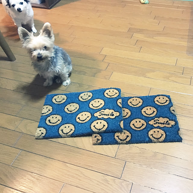 ohanaさんの実例写真