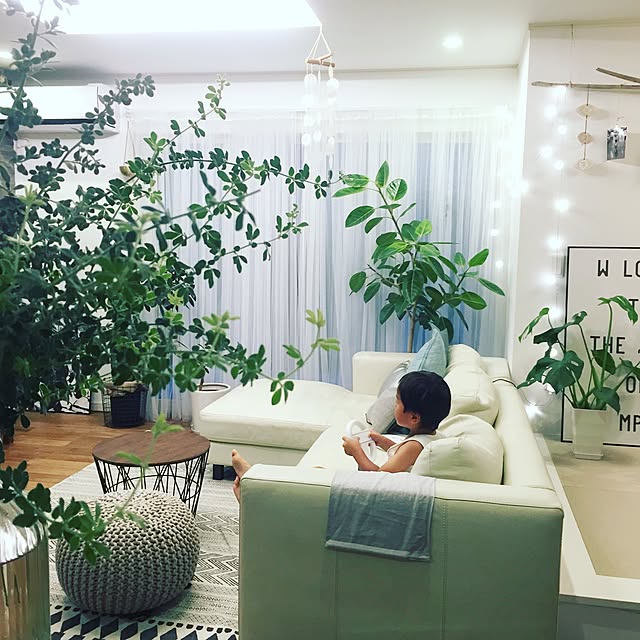 nicochanさんの実例写真