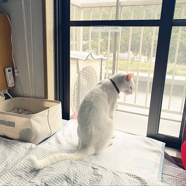 hanaさんの実例写真