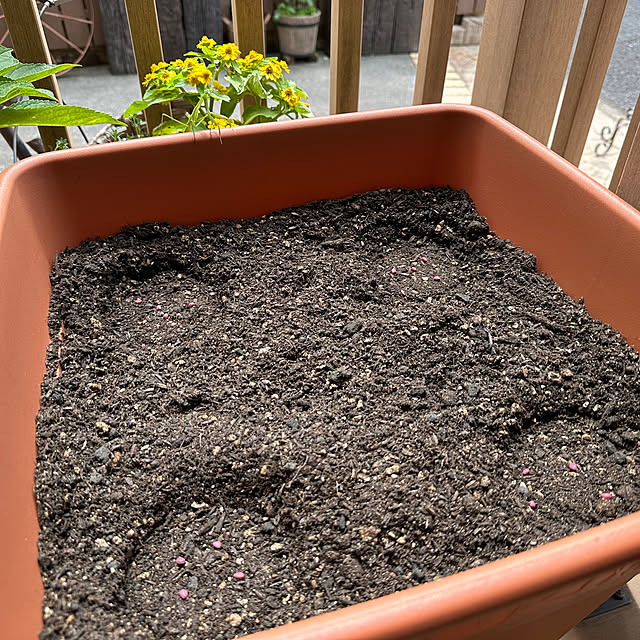 tabasaさんの実例写真