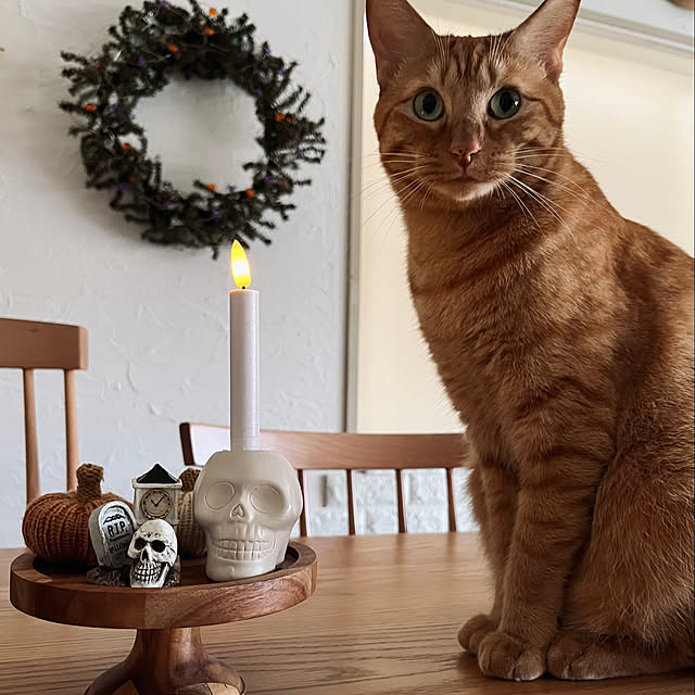 golf21さんの部屋