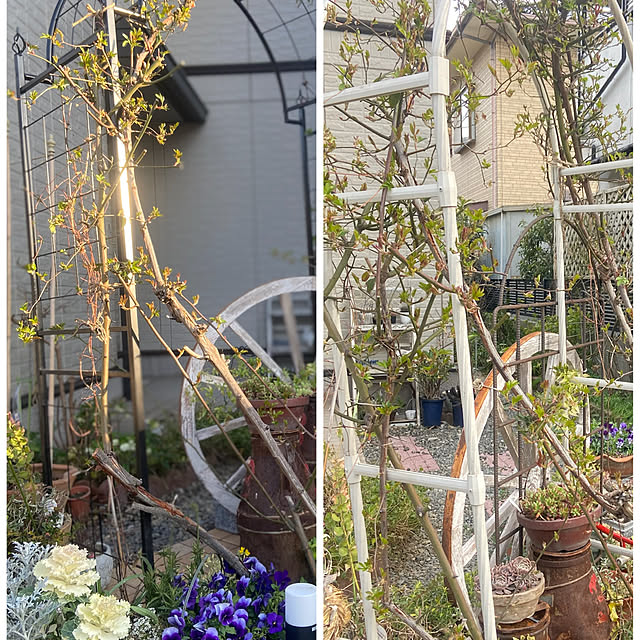 na-chanさんの実例写真