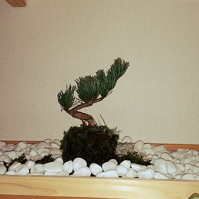 kaniさんの実例写真