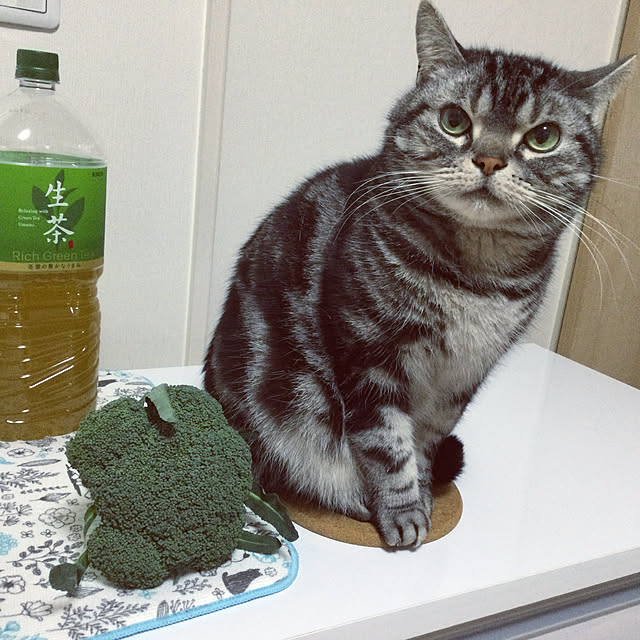 richanさんの実例写真