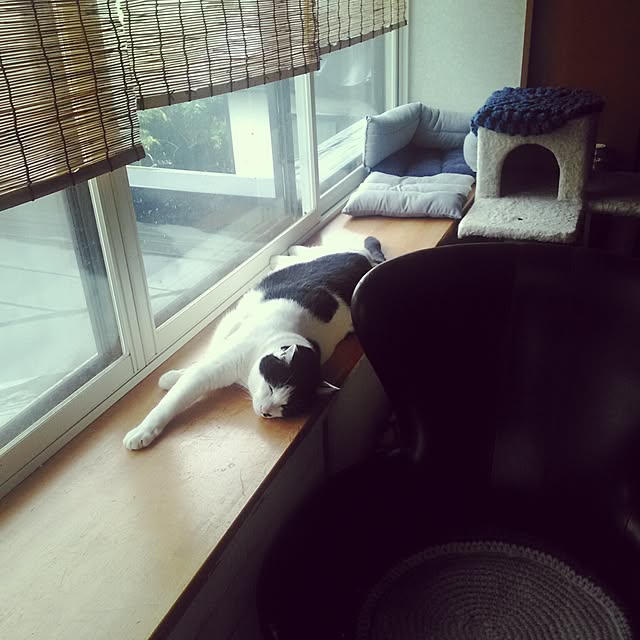 otubuさんの実例写真