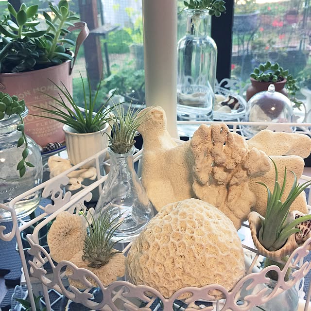 decoさんの実例写真