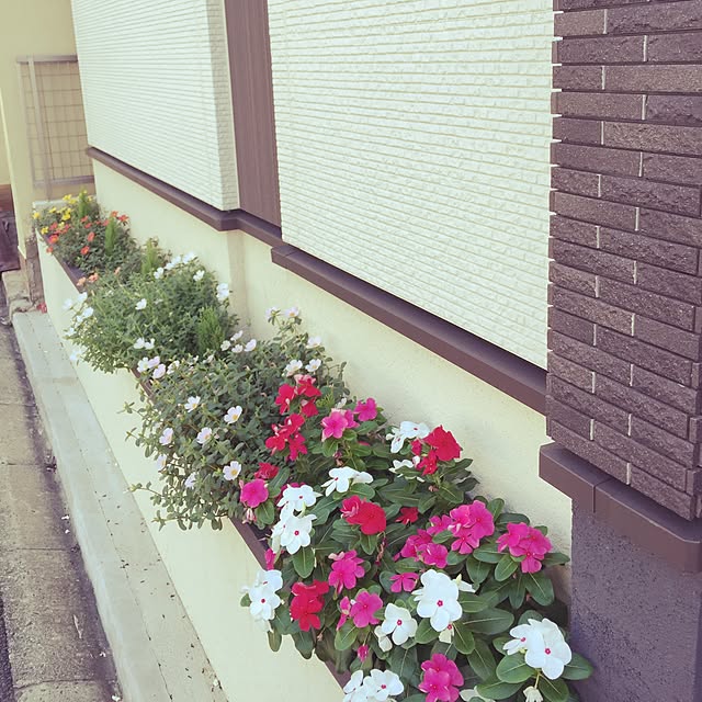 Kaoriさんの実例写真