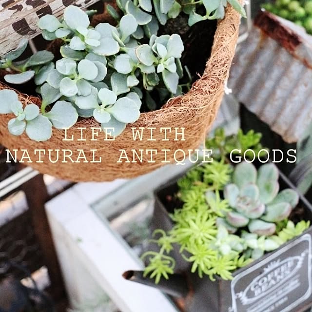 takimoto-manamiさんの実例写真