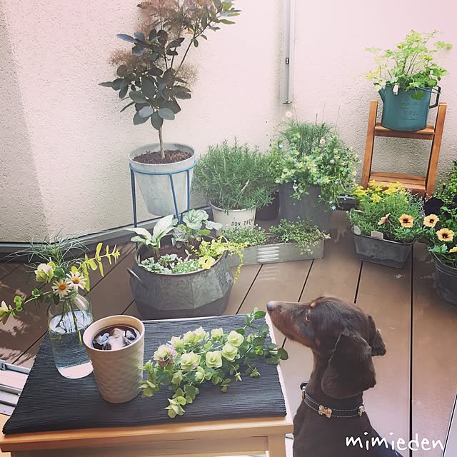 mimiedenさんの実例写真