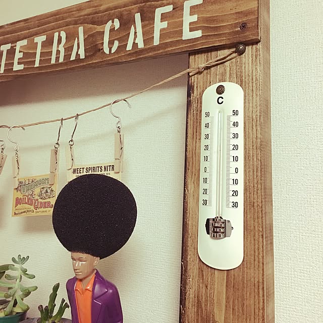 tetra163さんの実例写真
