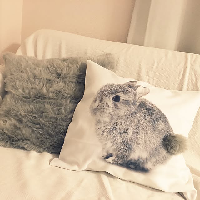 hiramiさんの実例写真