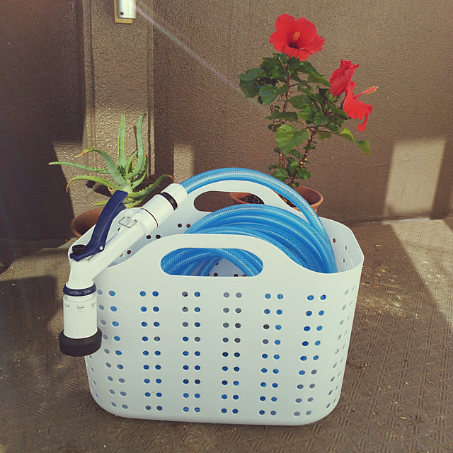 Yoshi55goさんの実例写真