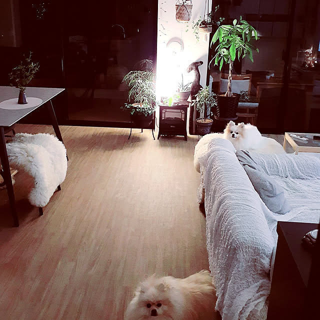 noahさんの実例写真