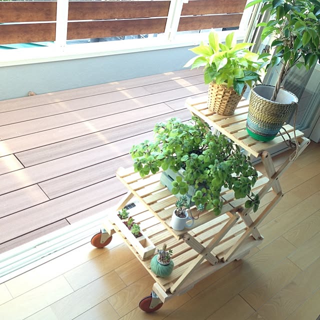 mt_hippoさんの実例写真