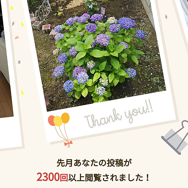 yuhさんの実例写真