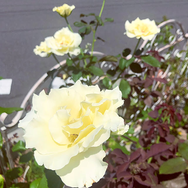 tomoさんの部屋